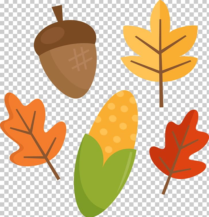 Food Bear Pumpkin PNG, Clipart, Autumn Leaves, Bear, Com, Envelope, Food Free PNG Download