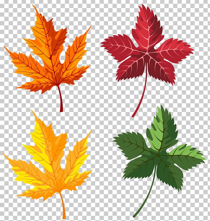 Paper Leaf Autumn PNG, Clipart, Animation, Autumn, Autumn Leaf Color, Autumn Leaves, Computer Animation Free PNG Download