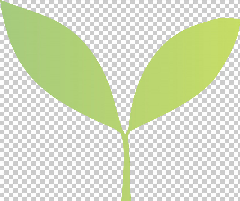 Leaf Green Plant Flower Tree PNG, Clipart, Bud, Eucalyptus, Flower, Flush, Green Free PNG Download
