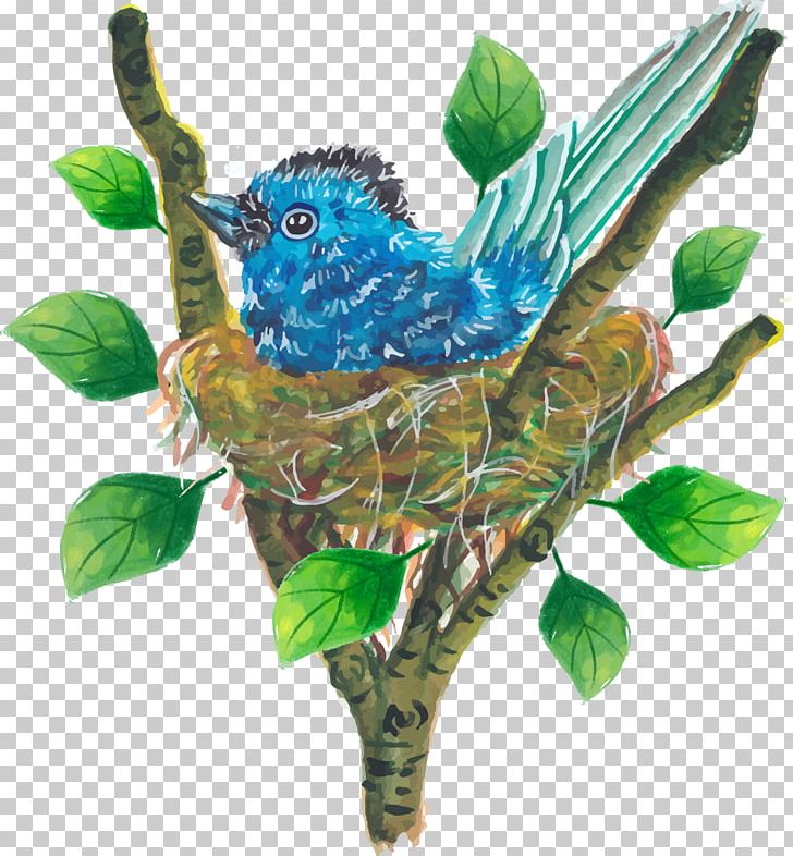 Bird Nest Passerine Euclidean PNG, Clipart, Animals, Bird, Birds Nest, Blue, Branch Free PNG Download