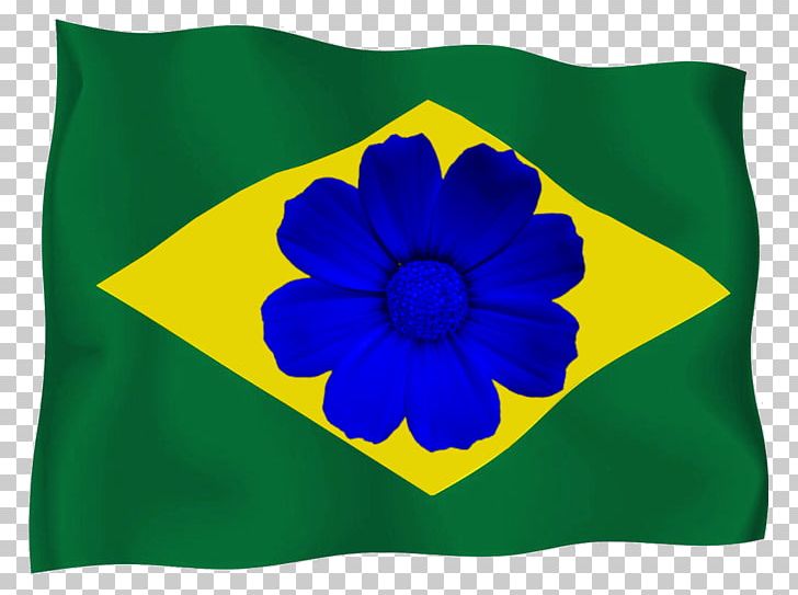 Flag Of Brazil Bible PNG, Clipart, Bible, Birthday, Brazil, Download, Flag Free PNG Download