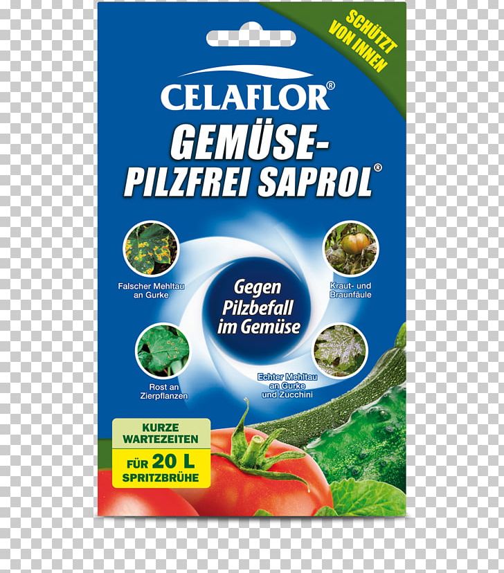 Pflanzenschutzmittel Scotts Miracle-Gro Company Vegetable Fruit Ornamental Plant PNG, Clipart, Casserole, Cucumber, Fertilisers, Food Drinks, Fruit Free PNG Download