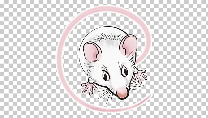 Rat Computer Mouse Gerbil Cartoon PNG, Clipart, Animal, Animals, Balloon Cartoon, Boy Cartoon, Cartoon Character Free PNG Download