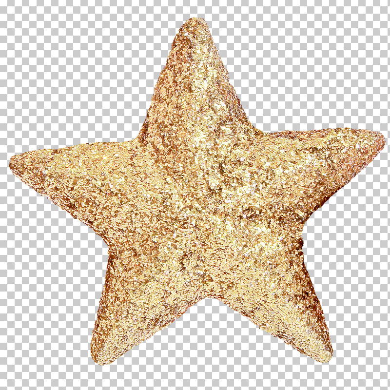 Star Starfish PNG, Clipart, Star, Starfish Free PNG Download