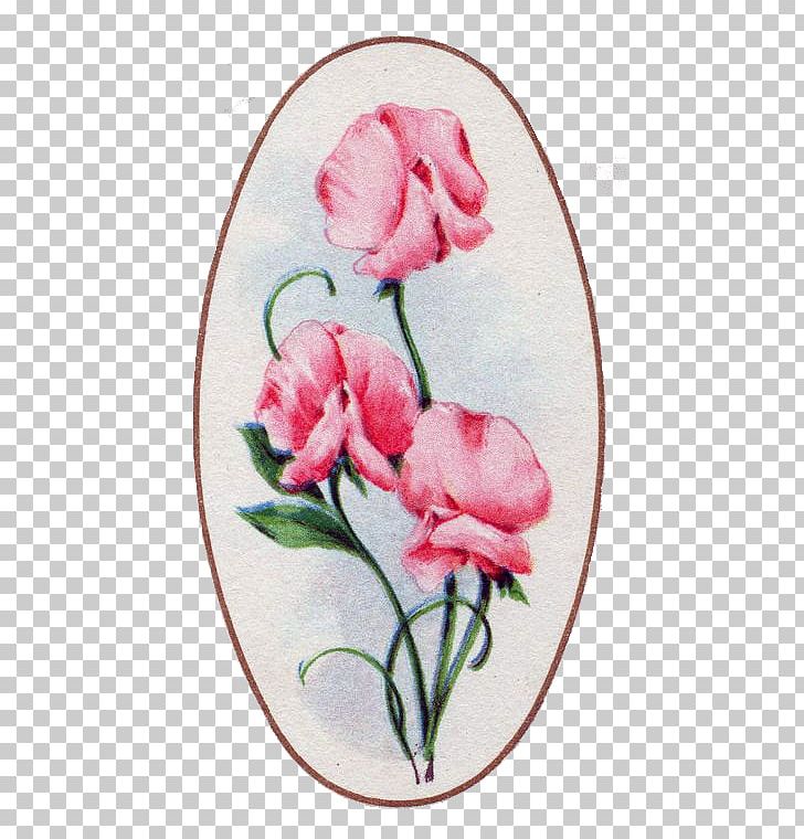 Garden Roses Floral Design Cabbage Rose Cut Flowers PNG, Clipart, Art, Cut Flowers, Drawing, Flora, Floral Design Free PNG Download