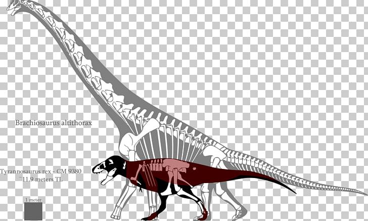 Giraffatitan Brachiosaurus Tyrannosaurus Deinonychus Lusotitan PNG, Clipart, Barosaurus, Brachiosaurus, Ceratosaurus, Deinonychus, Deviantart Free PNG Download
