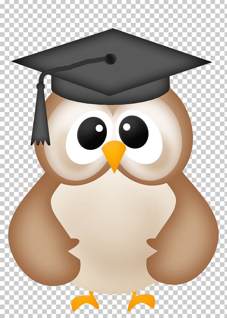 Graduation Ceremony Square Academic Cap PNG, Clipart, Beak, Bird, Bird Of Prey, Clip Art, College Free PNG Download