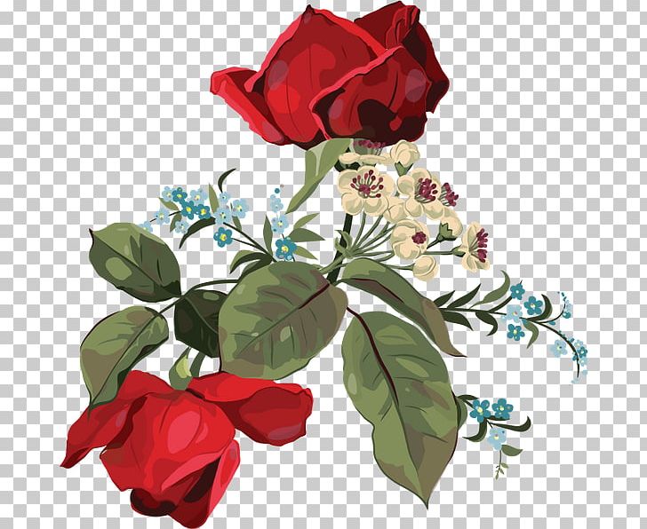 Garden Roses Cut Flowers Centifolia Roses Flower Bouquet PNG, Clipart, Centifolia Roses, Cut Flowers, Floral Design, Floristry, Flower Free PNG Download