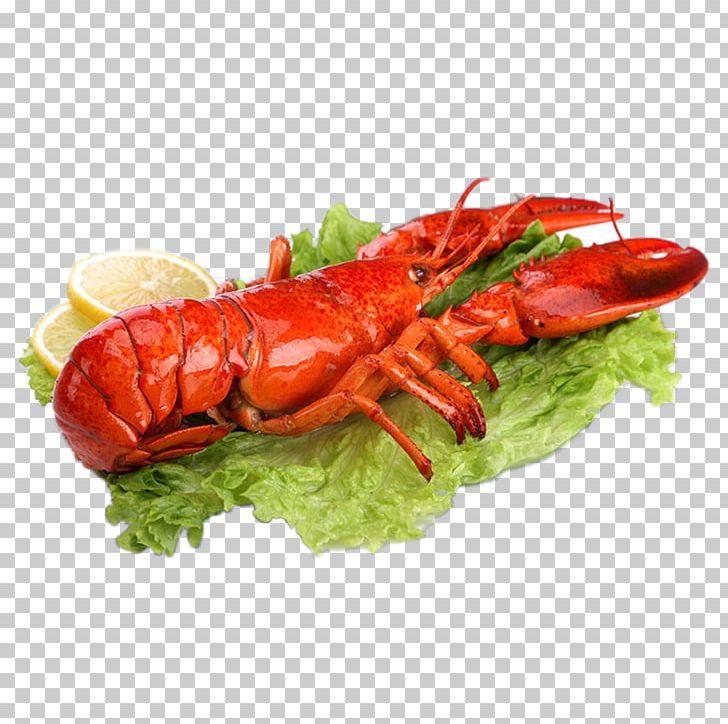 Homarus Gammarus American Lobster Seafood Caridea Lobster Thermidor PNG, Clipart, American Lobster, Animals, Animal Source Foods, Boston, Boston Lobster Free PNG Download