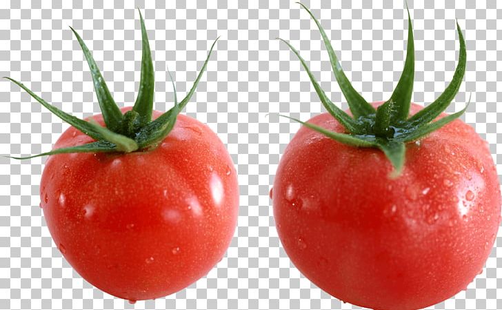 Plum Tomato Cherry Tomato Bush Tomato PNG, Clipart, Abgoals, Beachbody, Desktop Wallpaper, Diet Food, Fitness Free PNG Download