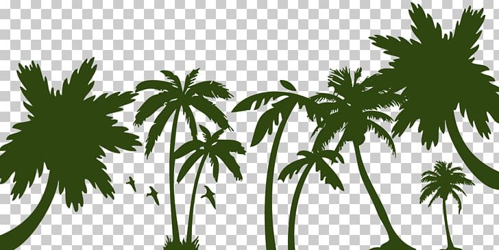 Arecaceae Sago Palm Tree PNG, Clipart, Arecaceae, Arecales, Branch, Cannabis, Cycad Free PNG Download