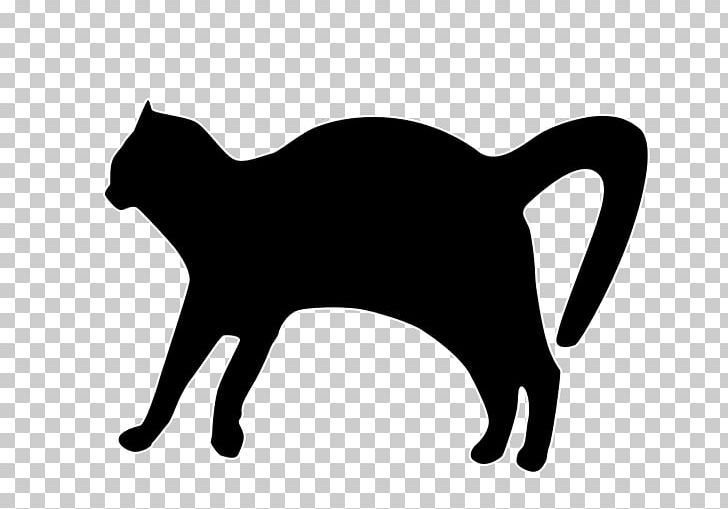 Cat Kitten PNG, Clipart, Animals, Autocad Dxf, Black, Black And White, Black Cat Free PNG Download
