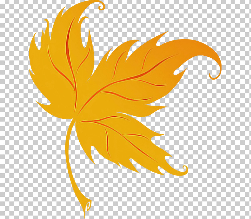 Maple Leaf PNG, Clipart, Leaf, Maple Leaf, Orange, Plane, Plant Free PNG Download