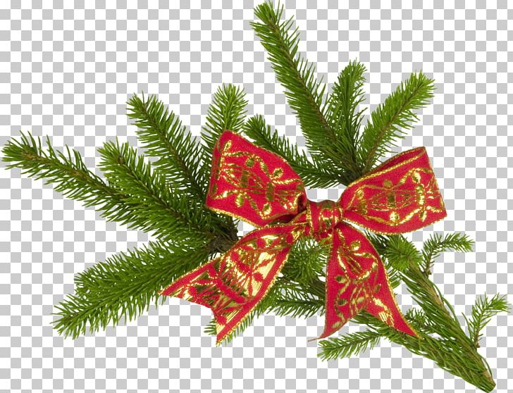New Year Tree Branch Odintsovo Spruce PNG, Clipart, Branch, Christmas, Christmas Decoration, Christmas Ornament, Conifer Free PNG Download