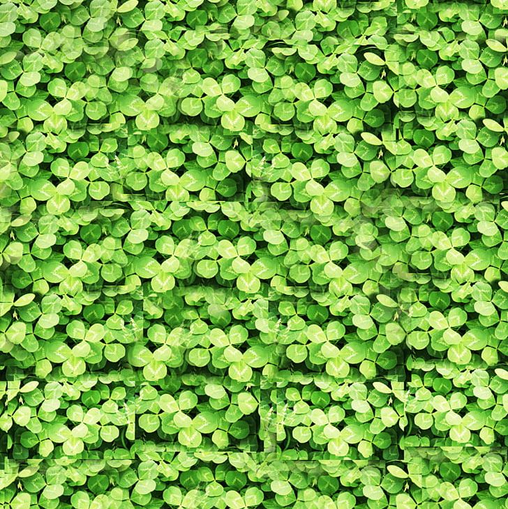 Plant Euclidean Green Icon PNG, Clipart, 4 Leaf Clover, Annual Plant, Aquatic Plant, Basemap, Centella Free PNG Download
