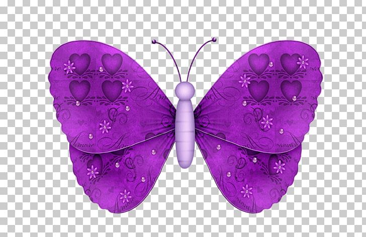 Portable Network Graphics To A Butterfly Borboleta PNG, Clipart, Arthropod, Borboleta, Butterflies And Moths, Butterfly, Child Free PNG Download