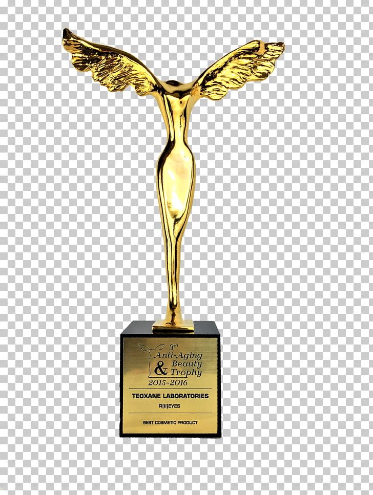 Trophy Statue PNG, Clipart, Award, Etisalat Prize For Innovation, Objects, Statue, Trophy Free PNG Download