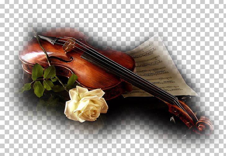 Violin Musical Instruments Fiddle Desktop PNG, Clipart, 1080p, Bow, Bowed String Instrument, Cello, Desktop Wallpaper Free PNG Download