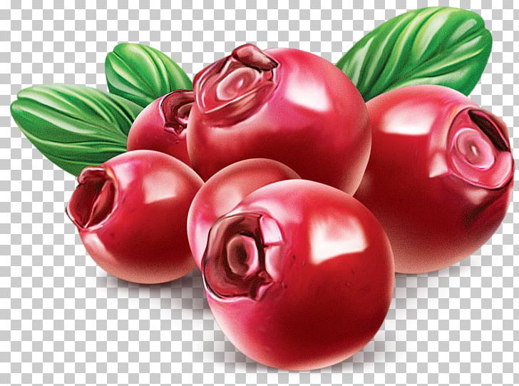 Cranberry PNG, Clipart, Accessory Fruit, Berry, Blueberries, Cdr, Computer Icons Free PNG Download