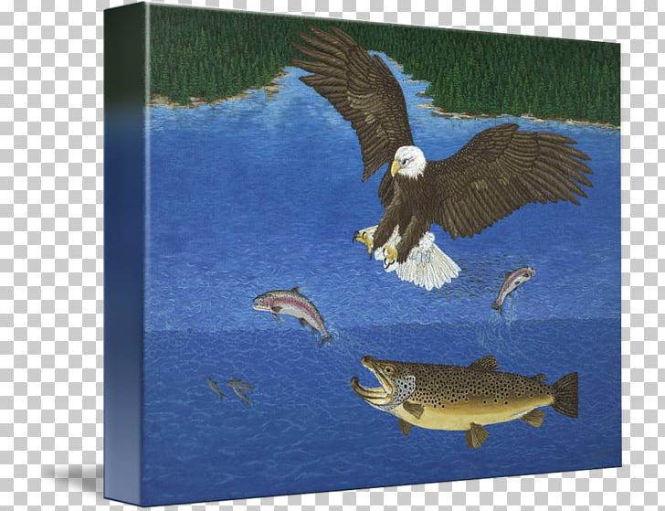 Eagle Beak Rainbow Trout PNG, Clipart, Animals, Beak, Bird, Bird Of Prey, Brown Trout Free PNG Download