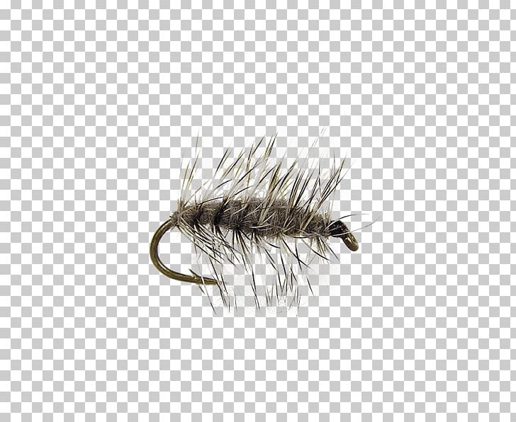 Insect Muskrat Artificial Fly Nymph PNG, Clipart, Animals, Artificial Fly, Card, Fishing, Fly Free PNG Download