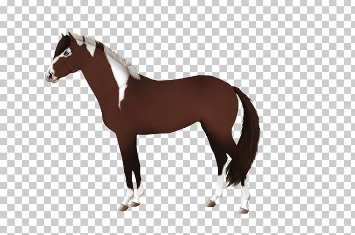 Mane Stallion Mustang Mare Colt PNG, Clipart, Colt, Computer, Computer Wallpaper, Desktop Wallpaper, Fictional Character Free PNG Download