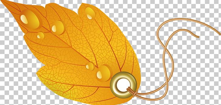 Leaf Autumn PNG, Clipart, Autumn Leaf Color, Autumn Leaf Figure, Autumn Leaves, Autumn Tree, Autumn Vector Free PNG Download