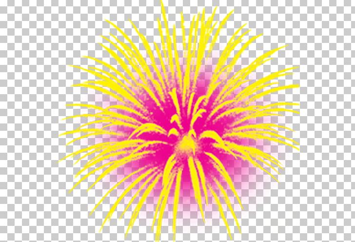 National Day Of The Peoples Republic Of China Fireworks National Day Of The Republic Of China Chinese New Year PNG, Clipart, Cartoon, Dahlia, Document File Format, Firework, Fireworks Vector Free PNG Download