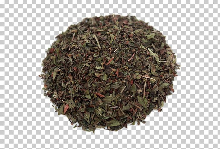 Oolong Green Tea Gunpowder Tea White Tea PNG, Clipart, Assam Tea, Bancha, Biluochun, Black Tea, Camellia Sinensis Free PNG Download