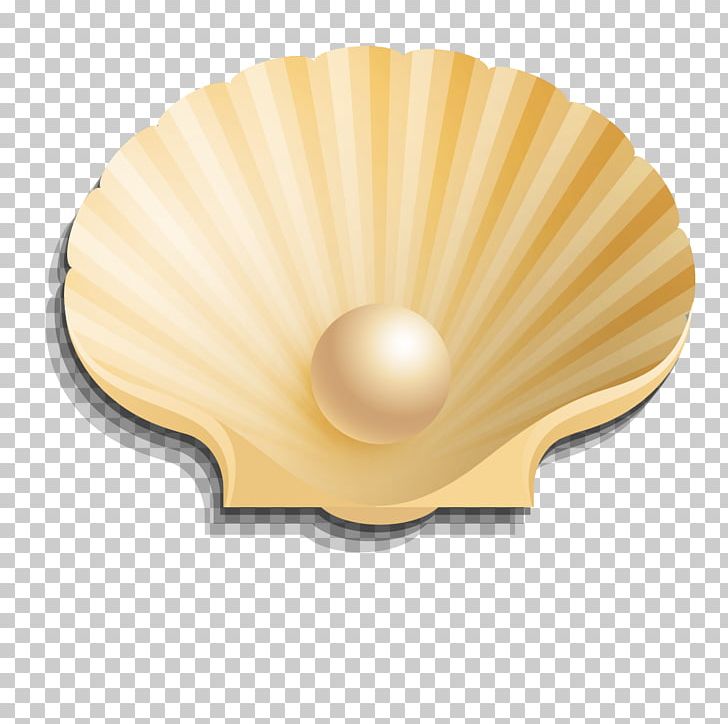 Seashell Pearl Euclidean PNG, Clipart, 3d Computer Graphics, Animals, Download, Free, Happy Birthday Vector Images Free PNG Download