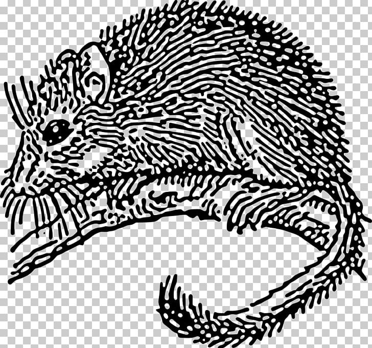 Dormouse Rodent Drawing PNG, Clipart, Animal, Animal Figure, Animals, Area, Art Free PNG Download