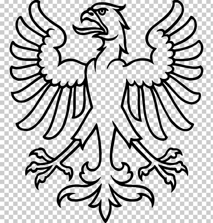 Zurich Bald Eagle Bird PNG, Clipart, Animals, Art, Artwork, Bald Eagle, Beak Free PNG Download