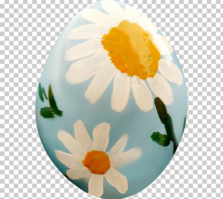 Egg Painting PNG, Clipart, Chicken Egg, Color, Download, Easter, Egg Free PNG Download