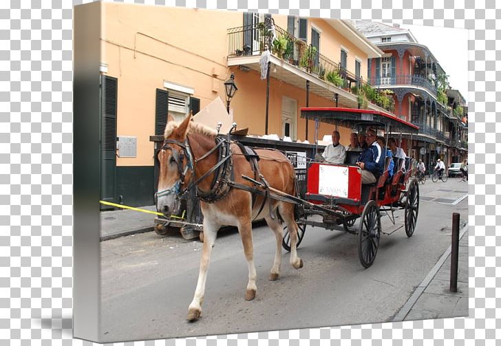 Horse And Buggy Horse Harnesses Coachman Wagon PNG, Clipart, Carriage, Cart, Chariot, Coachman, Harness Racing Free PNG Download
