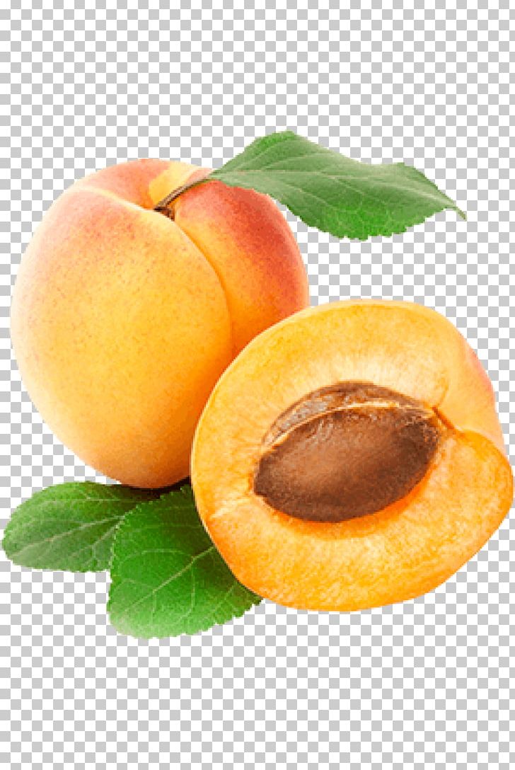 Peach Apricot Fruit PNG, Clipart, Apricot, Clip Art, Computer Icons, Diet Food, Dried Apricot Free PNG Download