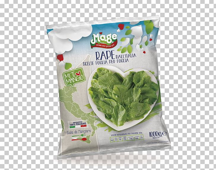 Romaine Lettuce Associazione Di Produttori Promarche Vegetable Business PNG, Clipart, Business, Contract Manufacturer, Endive, Food, Herb Free PNG Download
