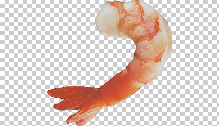 Shrimps PNG, Clipart, Shrimps Free PNG Download