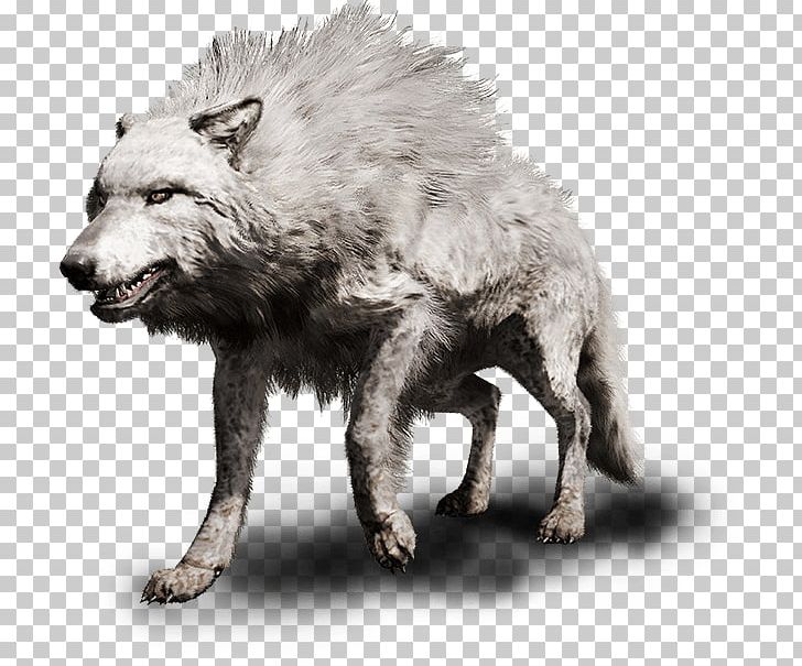 Far Cry Primal PlayStation 4 Far Cry 4 Gray Wolf PNG, Clipart, Bear, Carnivoran, Cave Wolf, Dire Wolf, Dog Like Mammal Free PNG Download