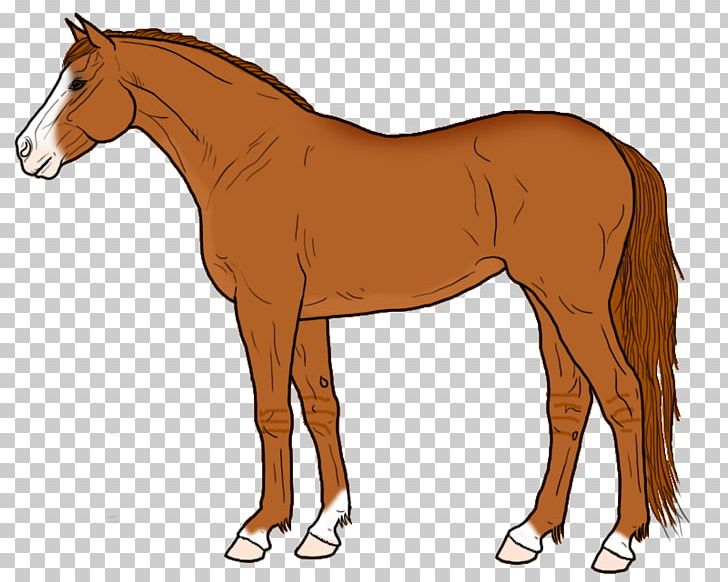 Mustang Foal Stallion Colt Mare PNG, Clipart, Animal Figure, Bridle, Cartoon, Colt, Foal Free PNG Download