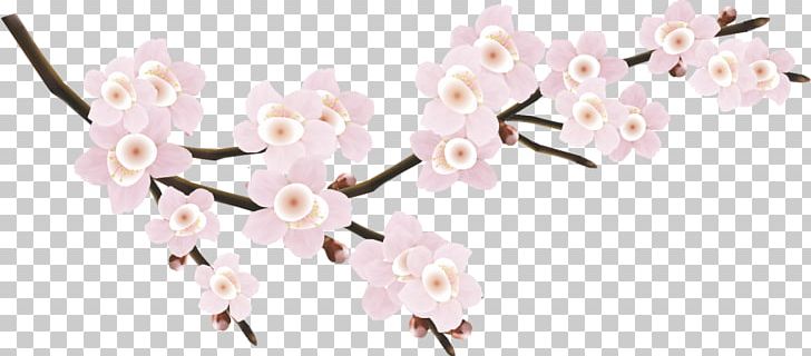 National Cherry Blossom Festival PNG, Clipart, Beautiful Girl, Beautiful Vector, Beauty, Branch, Cherry Free PNG Download