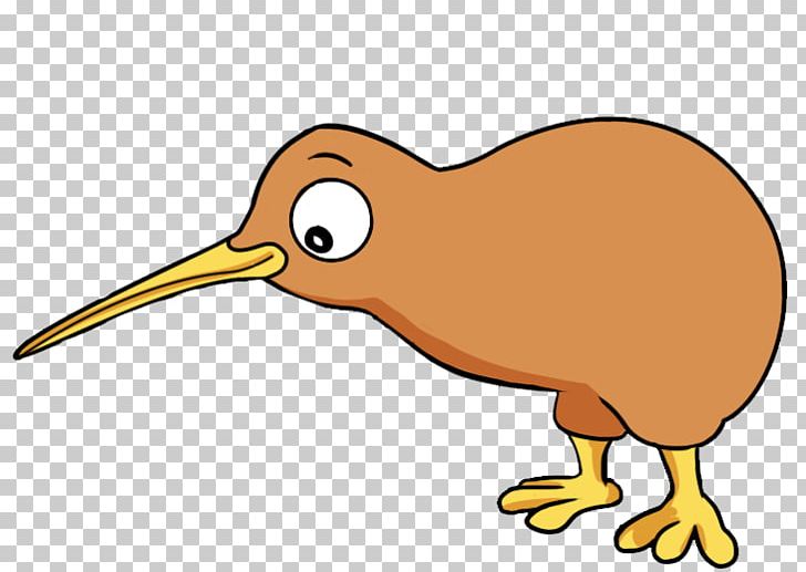 The New Zealand Kiwi Bird Hokey Pokey PNG, Clipart, Beak, Bird, Cartoon, Cartoon Bird Clipart, Clipart Free PNG Download