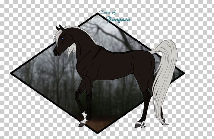Mane Rein Mustang Stallion Halter PNG, Clipart, Bridle, Halter, Horse, Horse Care, Horse Like Mammal Free PNG Download