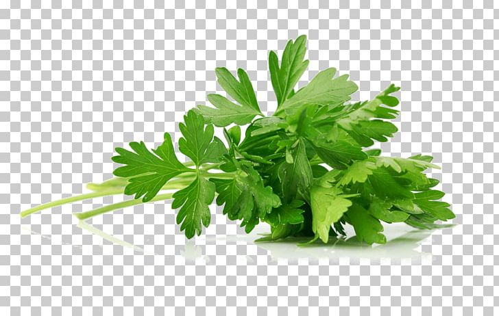 Parsley Asian Cuisine Hummus Herb Spice PNG, Clipart, Asian Cuisine, Common Sage, Coriander, Fines Herbes, Food Free PNG Download