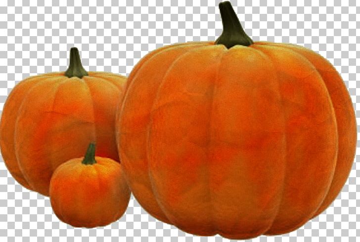 Pumpkins & Squashes Pumpkin Pie Vegetable Fruit PNG, Clipart, Black Beans, Calabaza, Carving, Cucumber Gourd And Melon Family, Cucurbita Free PNG Download