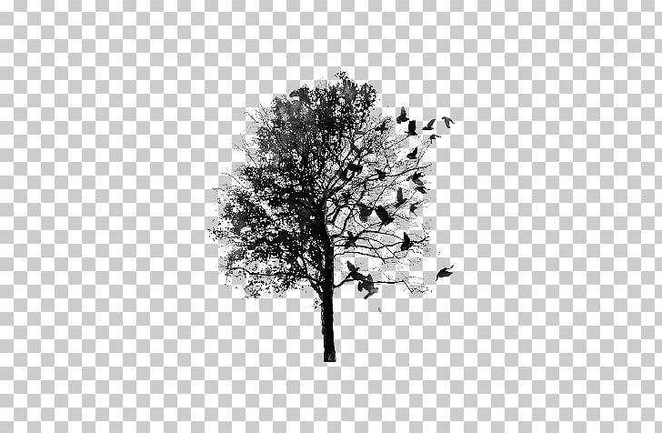 Tree Drawing Paper Lignin PNG, Clipart, Arbol, Bird, Black And White, Branch, Desktop Wallpaper Free PNG Download