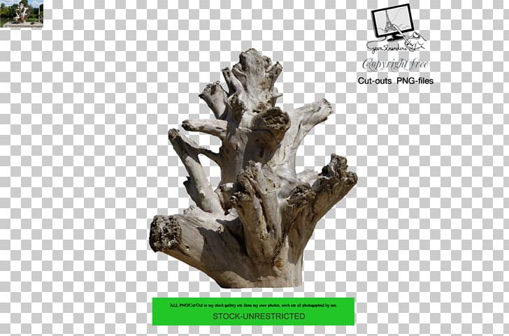 Tree Driftwood Trunk Branch PNG, Clipart, Branch, Deviantart, Digital Art, Driftwood, Nature Free PNG Download
