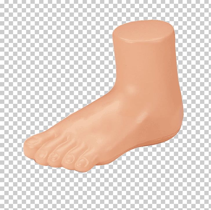 Foot Mannequin Shoe Sock Sandal PNG, Clipart, Arm, Clothing, Fashion, Feet, Female Free PNG Download