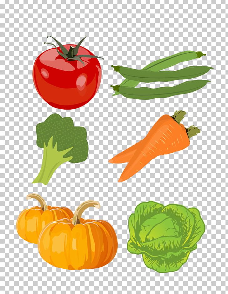 Vegetable Food Group Health Broccoli PNG, Clipart, Broccoli, Calabaza, Cauliflower, Cooking, Cucurbita Free PNG Download