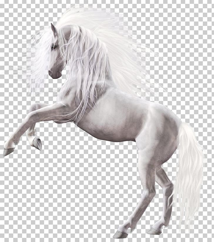 Wild Horse Pony PNG, Clipart, Animals, Black And White, Clip Art, Computer Icons, Encapsulated Postscript Free PNG Download