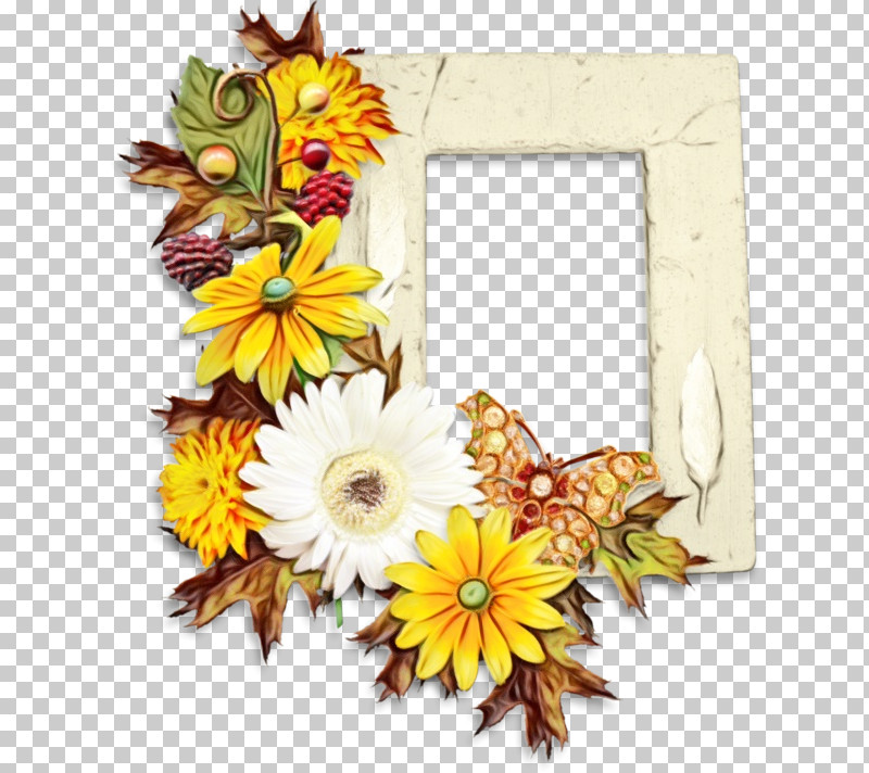 Floral Design PNG, Clipart, Biology, Common Daisy, Cut Flowers, Daisy Family, Film Frame Free PNG Download